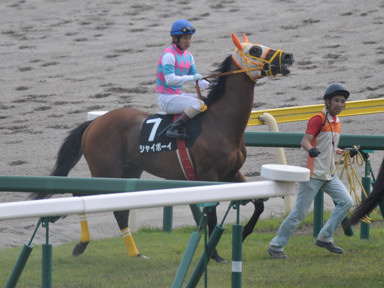 2014/05/25 新潟10R