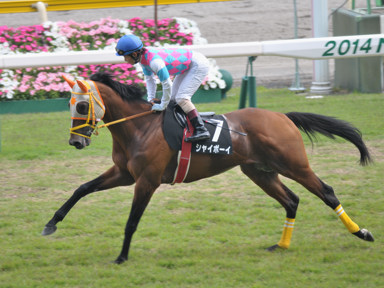 2014/05/25 新潟10R