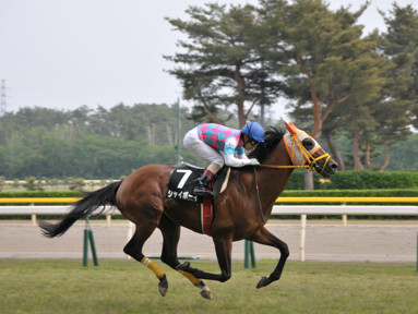 2014/05/25 新潟10R