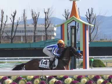 2016/02/07 京都08R