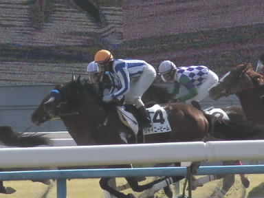 2016/02/07 京都08R