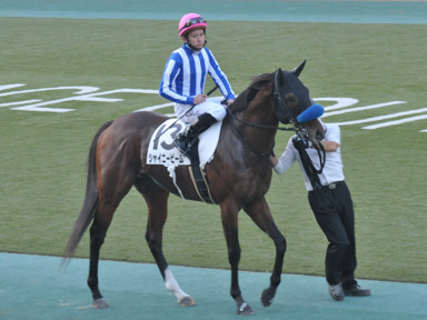2016/11/05 東京12R