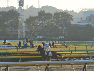 2016/11/05 東京12R