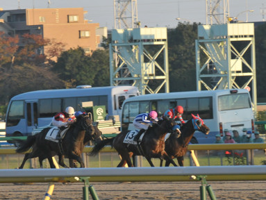2016/11/05 東京12R