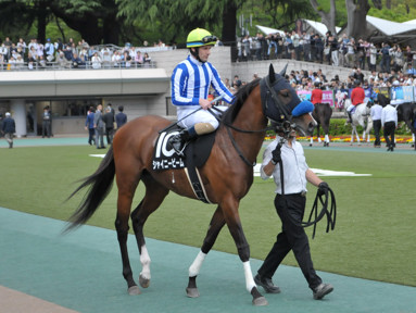 2017/04/29 東京10R