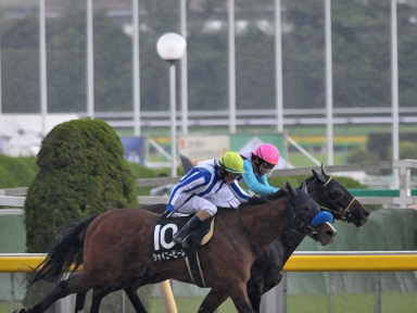2017/04/29 東京10R