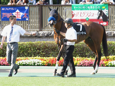 2017/05/21 東京12R