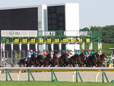 2017/05/21 東京12R