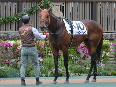 2023/04/22 東京07R