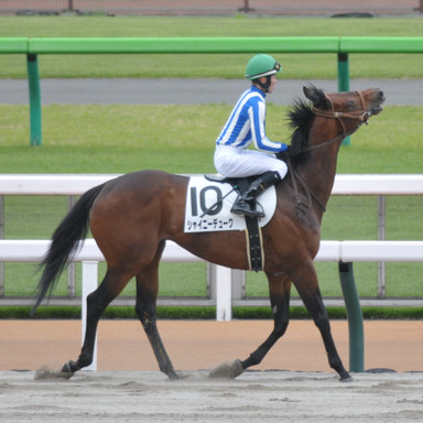 2023/04/22 東京07R