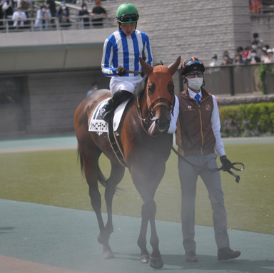 2023/05/06 東京08R