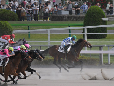 2023/05/06 東京08R