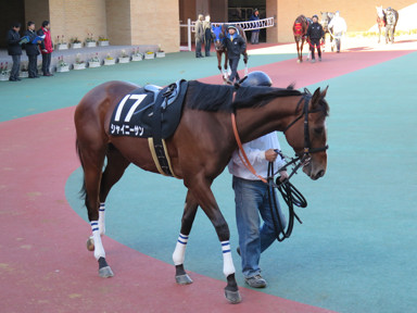 2016/01/16 中京10R