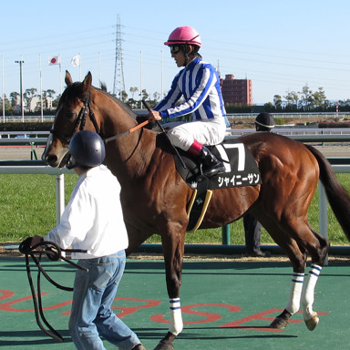 2016/01/16 中京10R