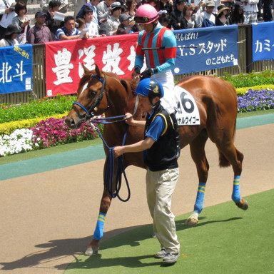 2010/05/16 東京06R