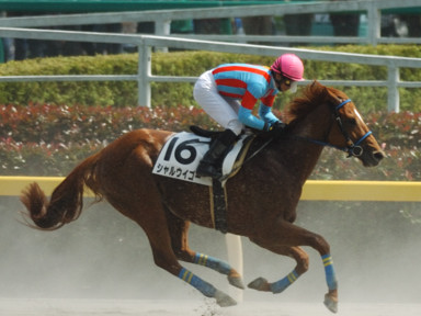 2010/05/16 東京06R
