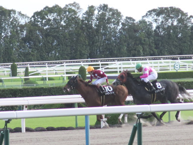 2019/10/06 京都10R