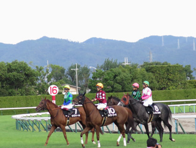 2019/10/06 京都10R