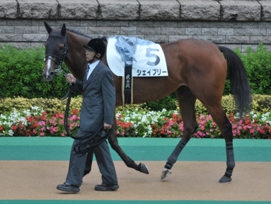 2013/10/26 東京08R