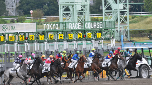 2013/10/26 東京08R
