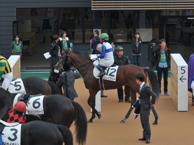 2014/12/20 中山08R