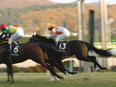 2010/10/21 福島10R