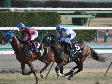 2011/01/23 中山09R