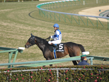2011/01/23 中山09R