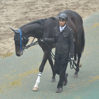 2011/02/20 東京09R