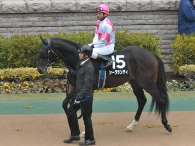 2011/02/20 東京09R