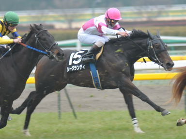 2011/02/20 東京09R
