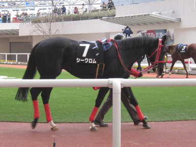 2015/12/20 阪神12R