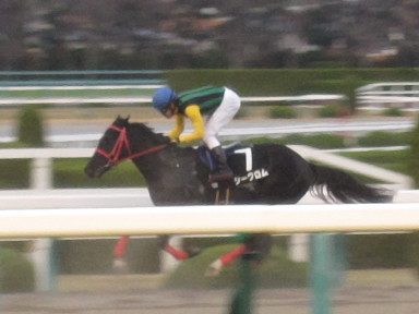 2015/12/20 阪神12R