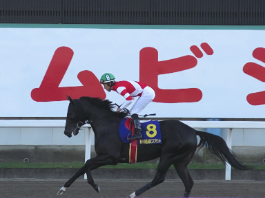 2016/11/03 川崎10R