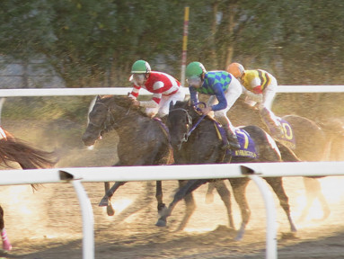2016/11/03 川崎10R