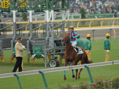 2006/11/26 06R