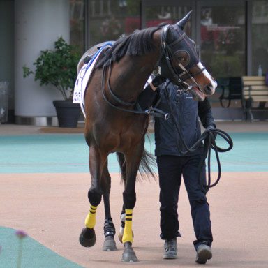 2023/04/23 東京07R