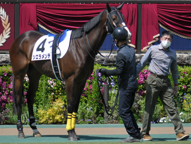 2023/04/23 東京07R