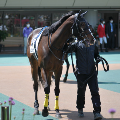 2023/04/23 東京07R