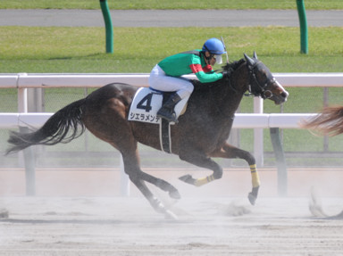 2023/04/23 東京07R