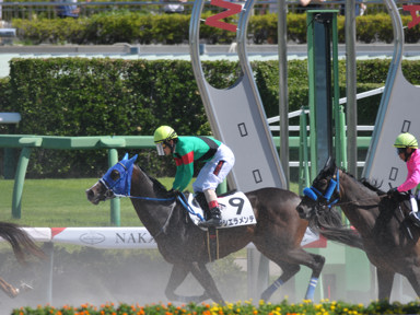 2024/09/14 中山06R