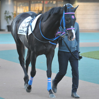 2024/01/27 東京12R