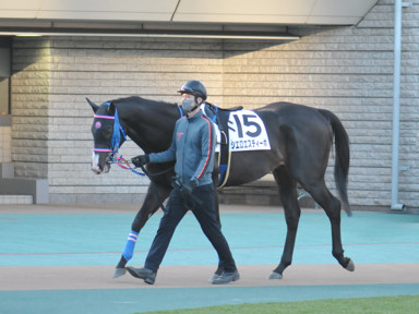 2024/01/27 東京12R