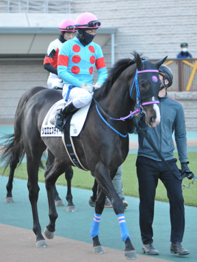 2024/01/27 東京12R