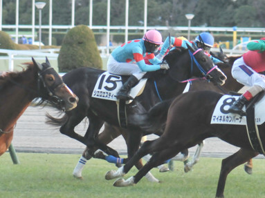2024/01/27 東京12R