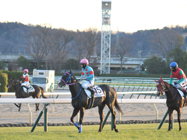 2024/01/27 東京12R