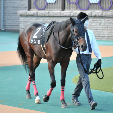 2021/11/06 東京10R
