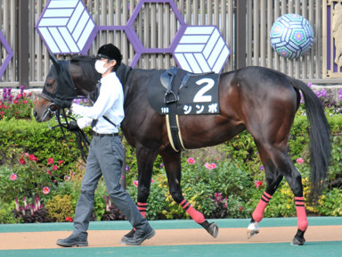 2021/11/06 東京10R