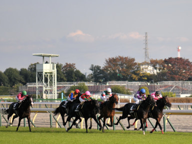 2021/11/06 東京10R