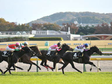 2021/11/06 東京10R